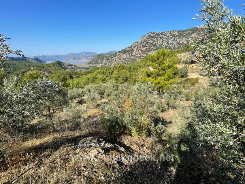 Land For sale in Gökbel Nbh. Ortaca - Housing Zoned - 3.514 m²