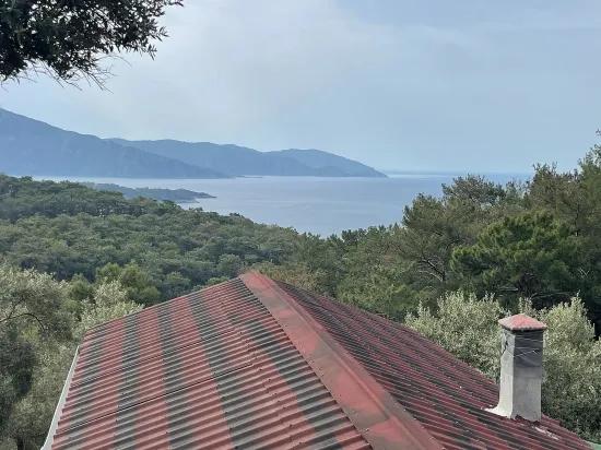Köyceğiz Ekincik sea view 7.000m2 2b for sale olive grove