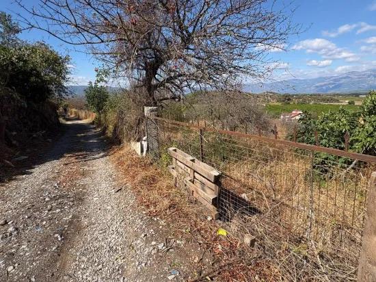 Field for sale, 5.000m2, with lake view In Dalyan, Karadağ