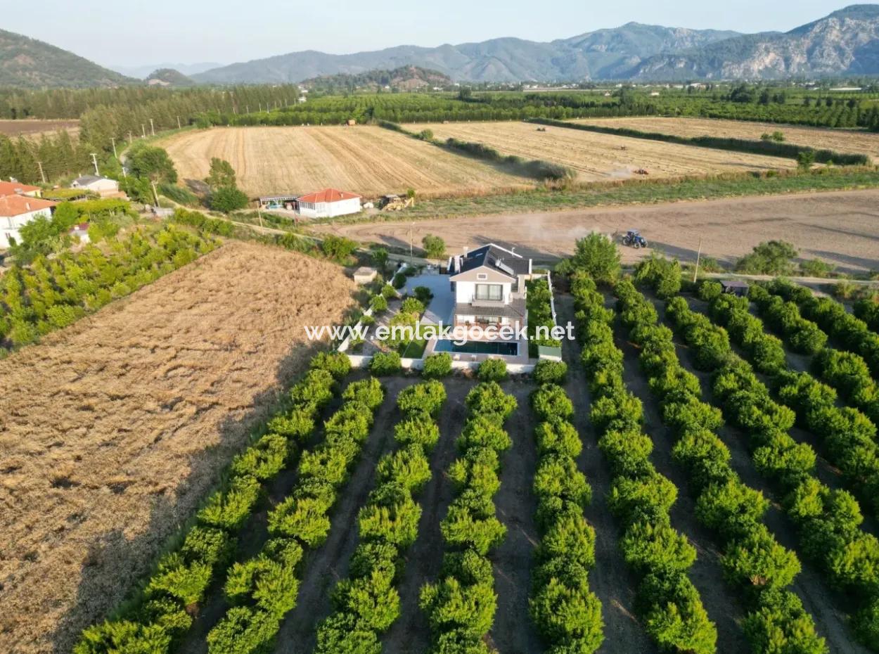 4 1 Villas For Sale In 14.136 M2 Field In Eskiköy