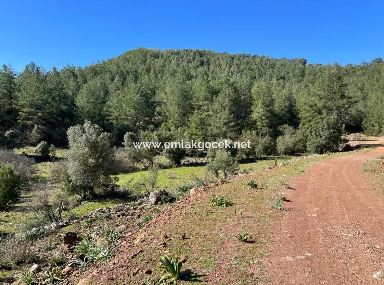 Land For Sale In Nature And Forest In Gökbel