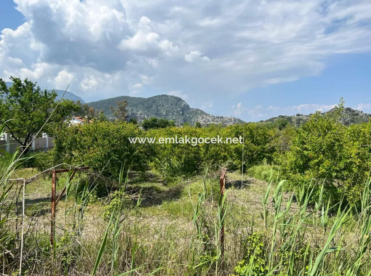 5,100M2 Land For Sale In Dalyan Maraş Area With 5% Residential Zoning