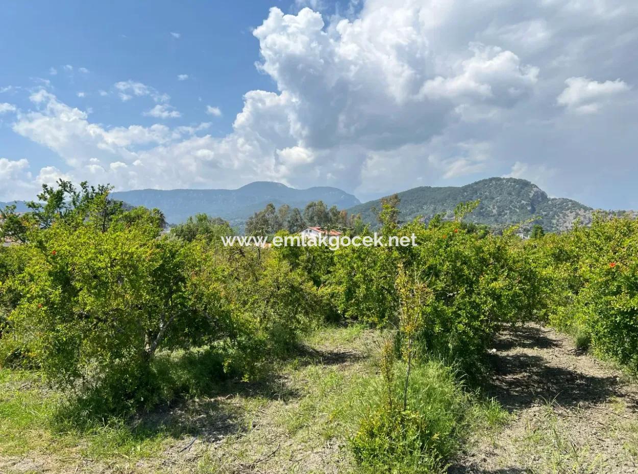 5,100M2 Land For Sale In Dalyan Maraş Area With 5% Residential Zoning
