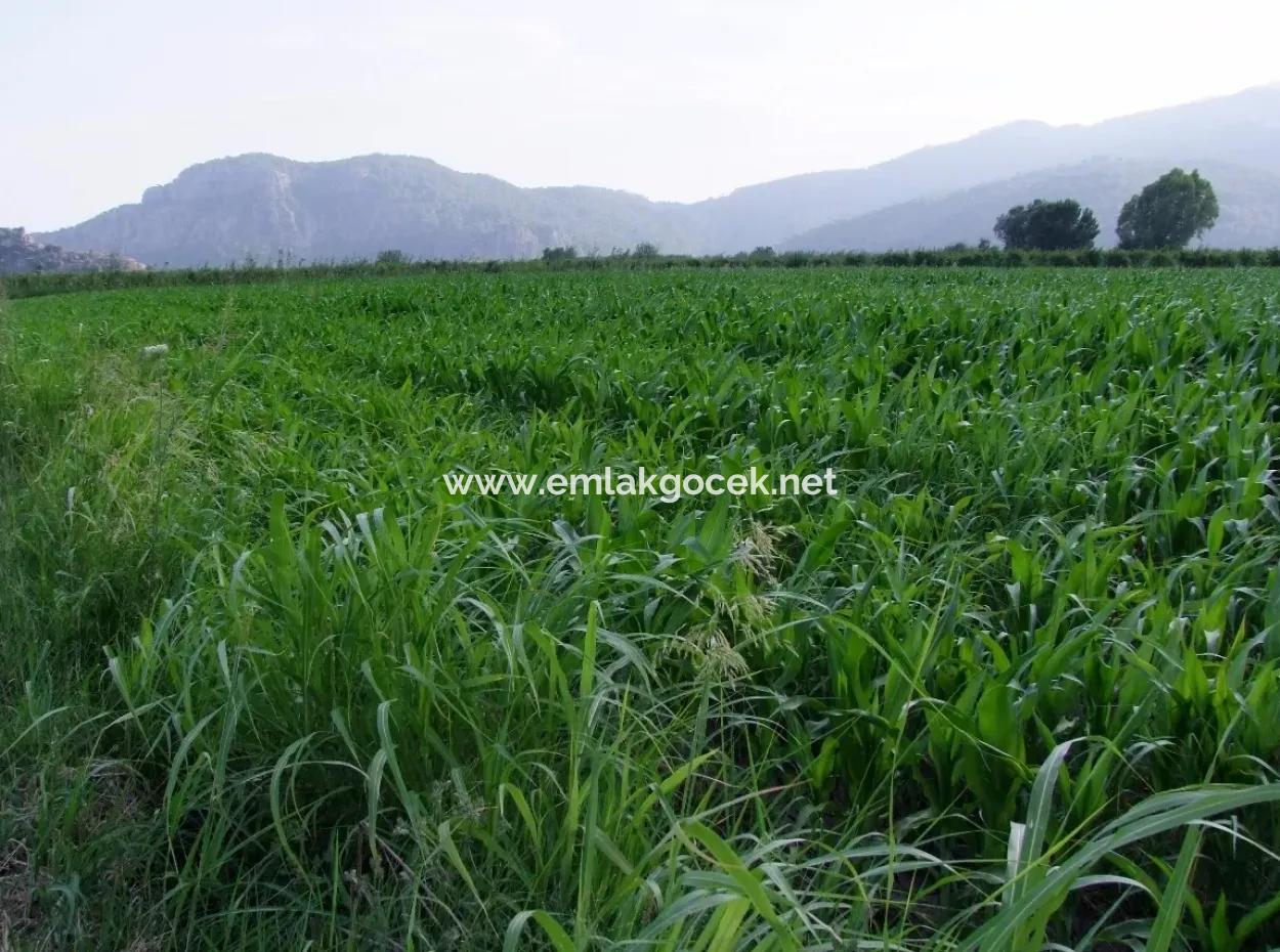 Farm For Sale Near The Centre Of Dalyan,14, 612M2 Farm For Sale