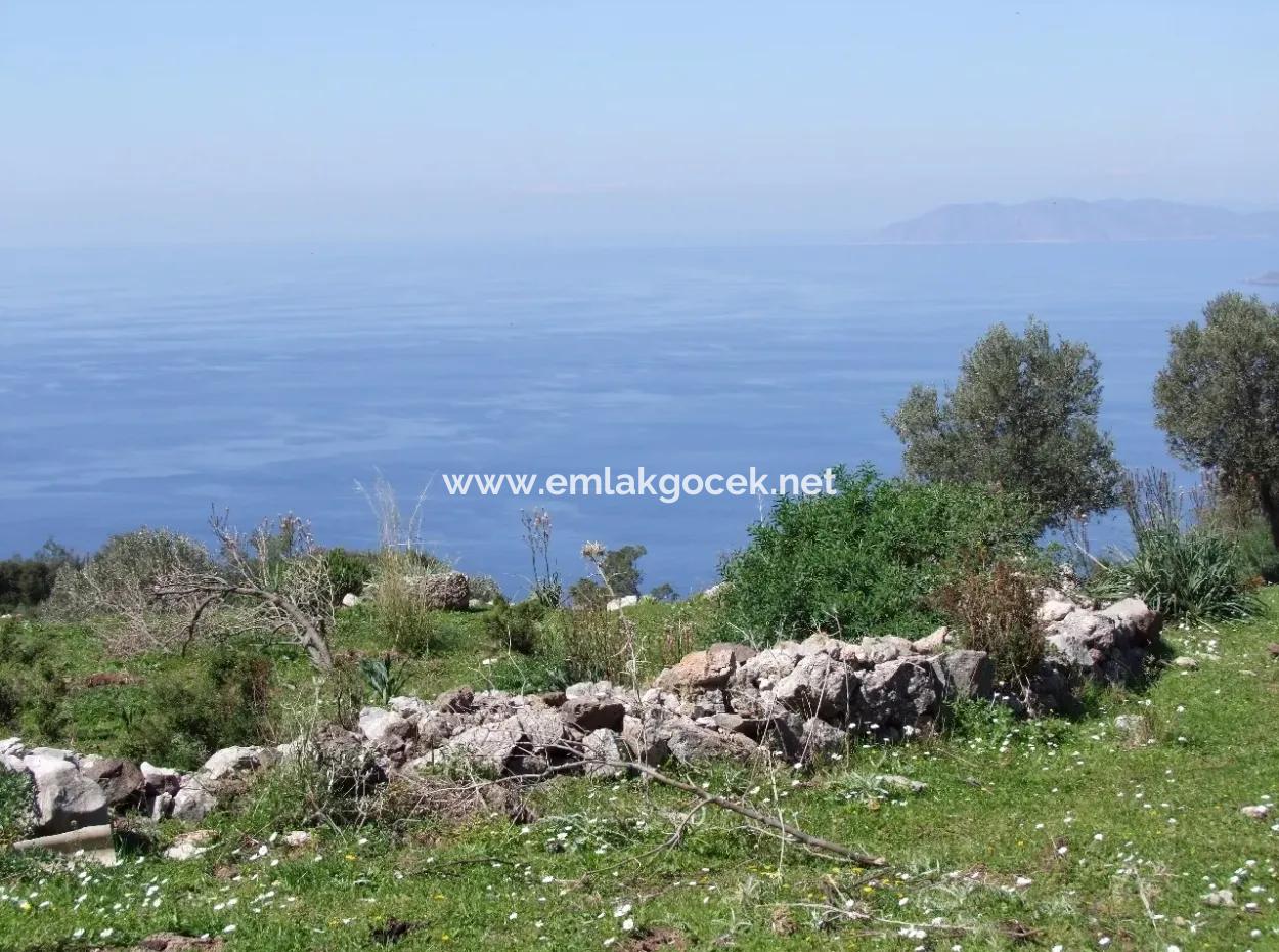 For Sale In Faralya Faralya With Sea View And 11,286M2 Land For Sale Tourism