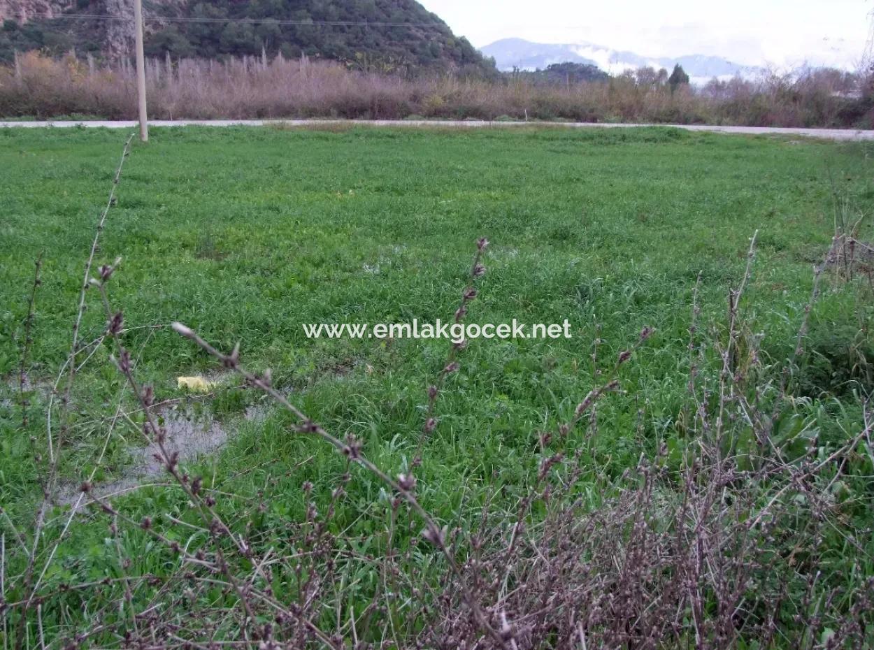 Gulpinar Dalyan Dalyan For Sale In 1002M2 Plot For Sale For Sale Cornerstone