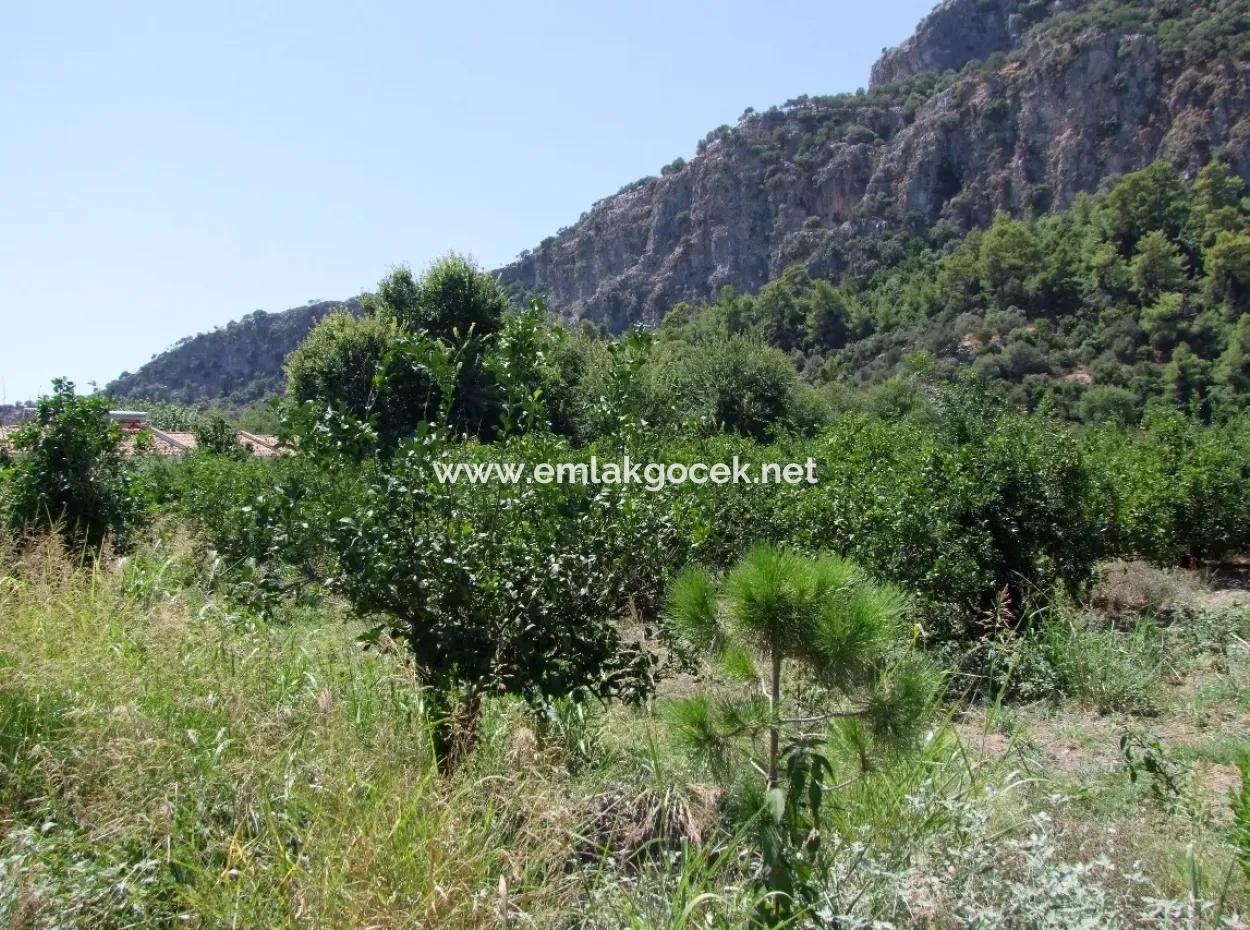 In Dalyan Plot For Sale In Channel Zero