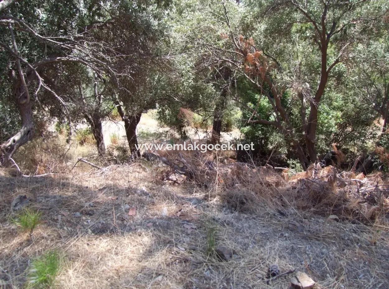 For Sale Land Also With Full Sea View For Sale In Sarigerme Land For Sale
