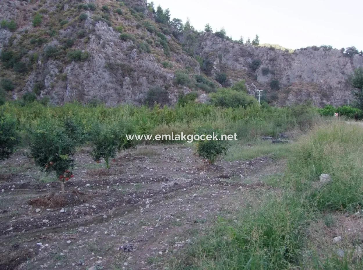 Plot For Sale In Pomegranate Garden For Sale In Oriya Mergenli Mergenli