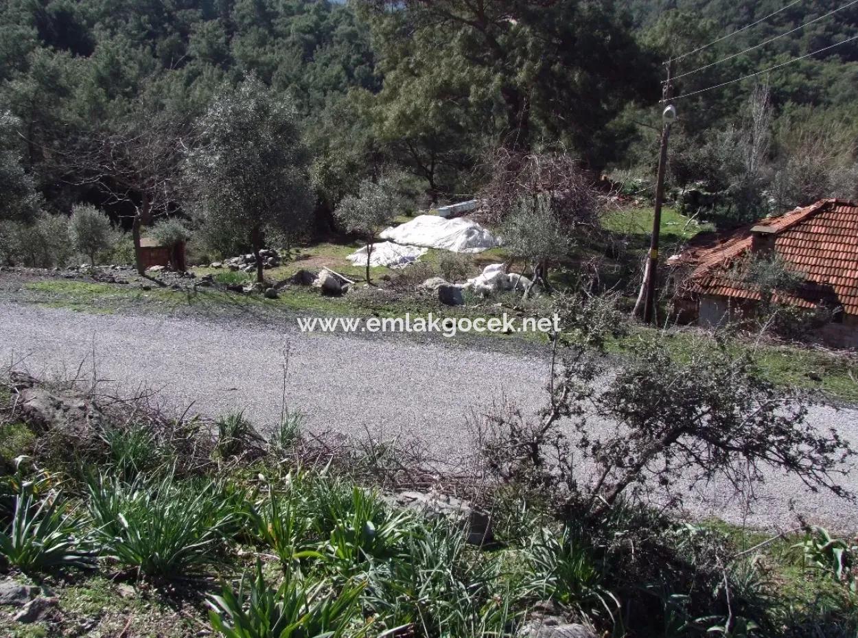 Land  For Sale With Sea View For Sale In Gokbel