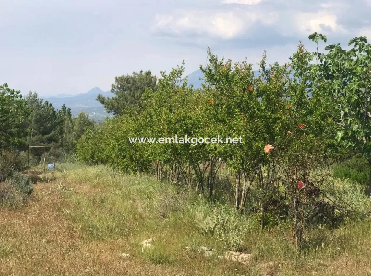 Land For Sale In Seydikemer Korubuku 76000M2