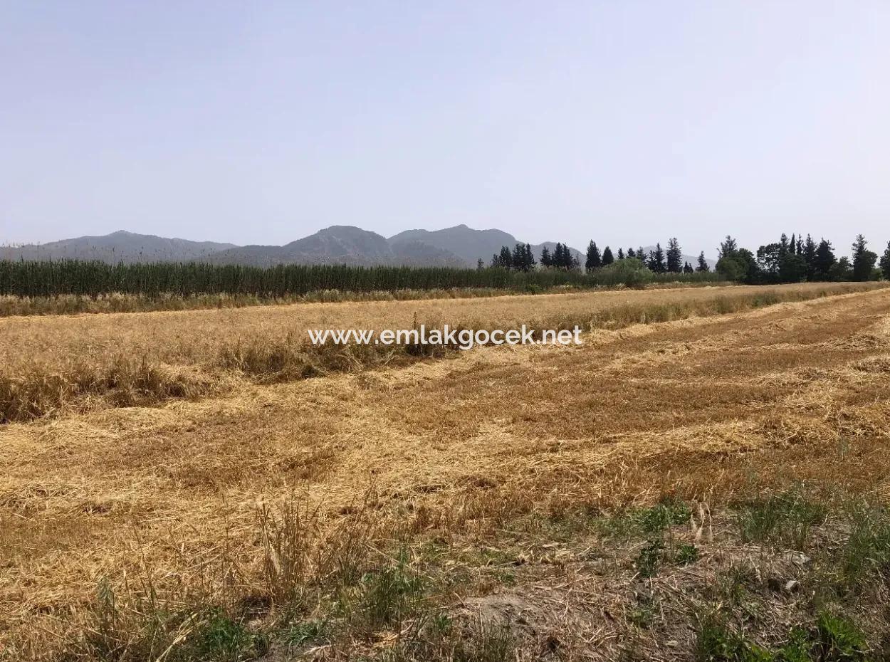 Farm Land For Sale 39 Acres In Eskikoy