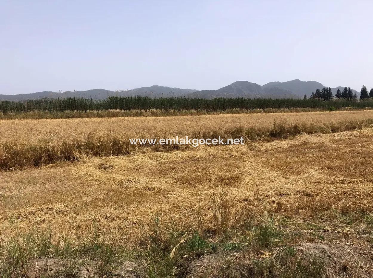 Farm Land For Sale 39 Acres In Eskikoy
