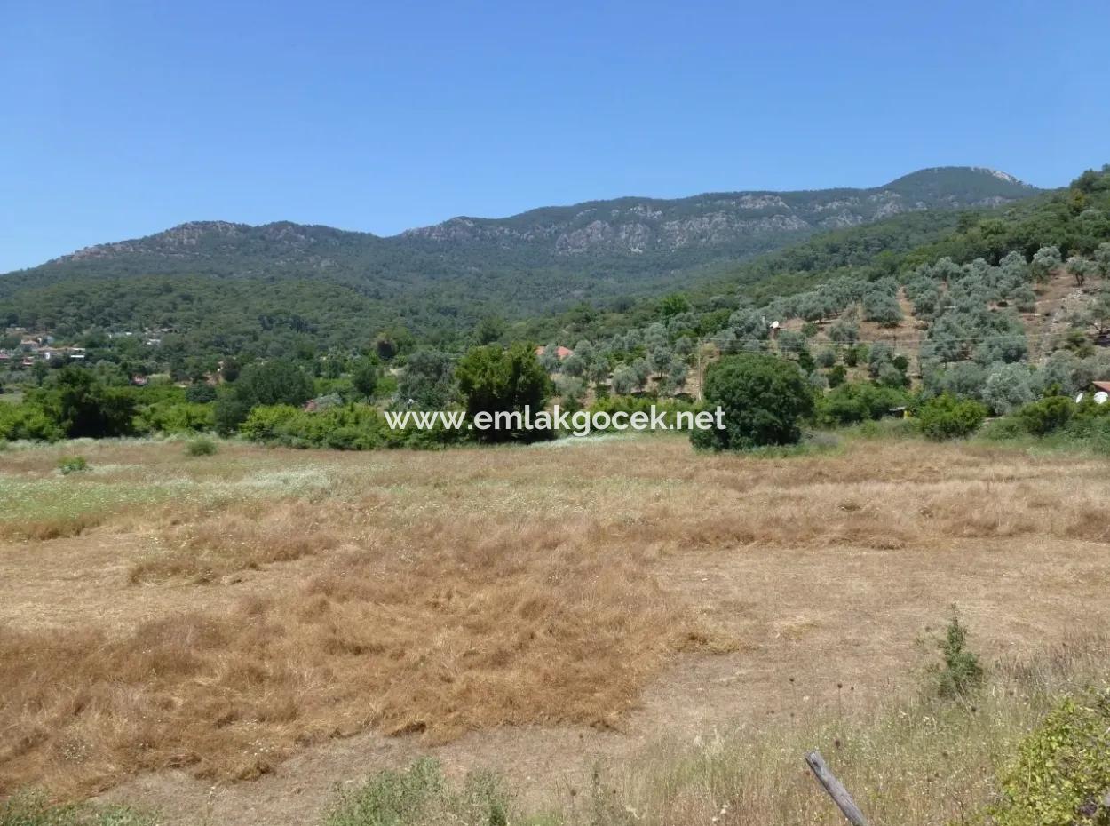2300M2 Land For Sale Near The Center Of The Land For Sale