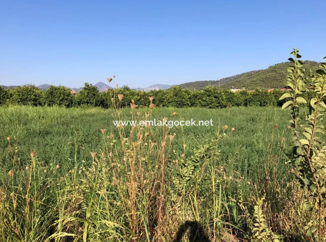 Land For Sale In The Center 891M2 Land For Sale