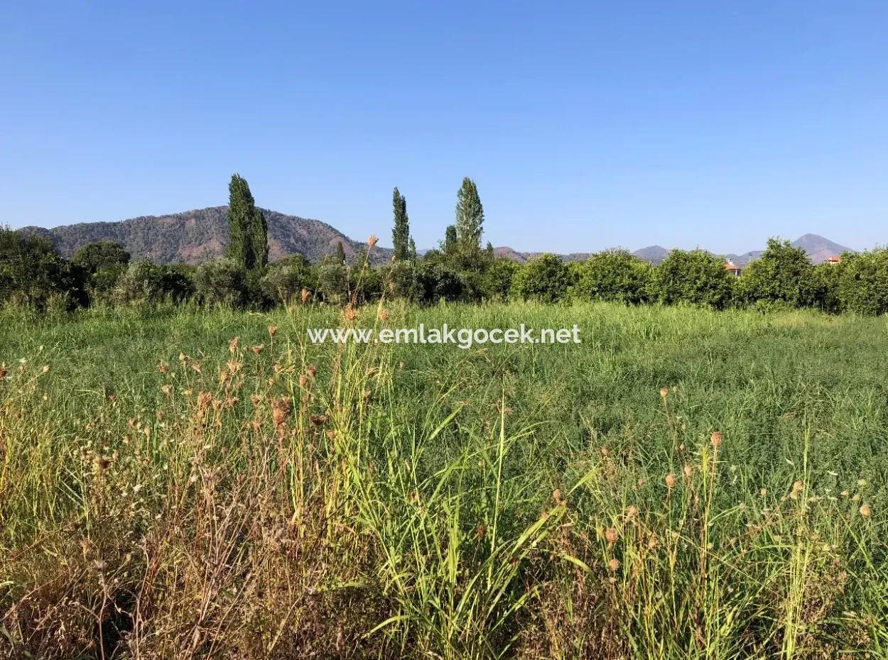 Land For Sale In The Center 891M2 Land For Sale