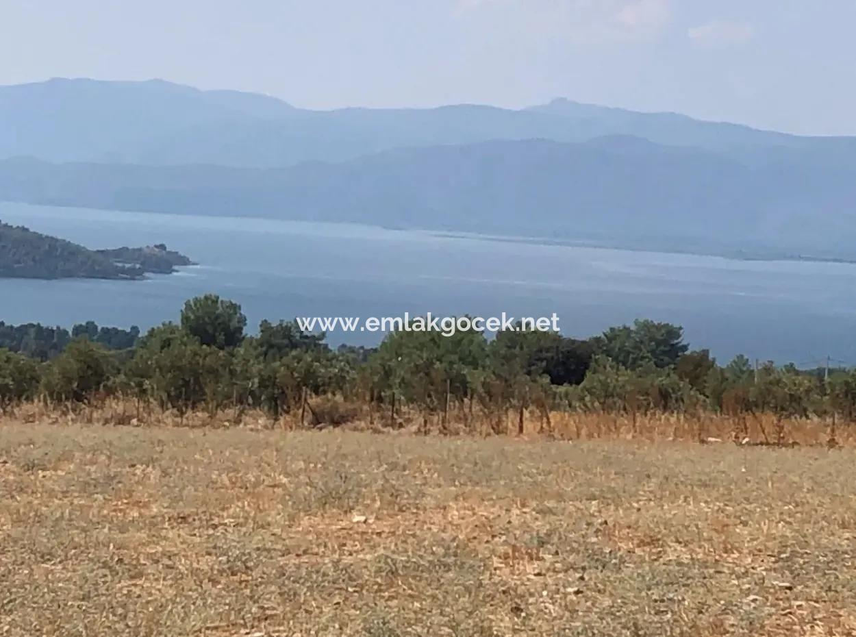 11.227M2 Land For Sale With Lake Views In Köyceğiz Zeytinalanı