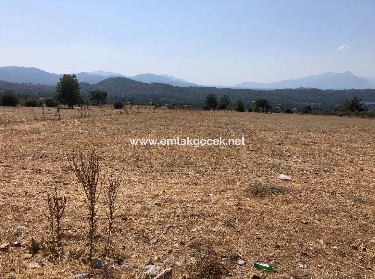 11.227M2 Land For Sale With Lake Views In Köyceğiz Zeytinalanı