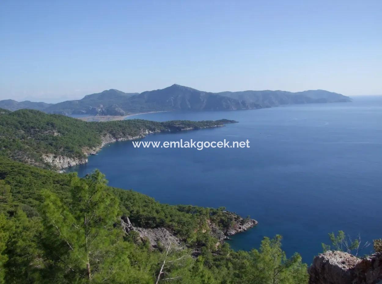 Real Estate Bargain Plot For Sale With Sea Views In Çandır Call In Ekincik