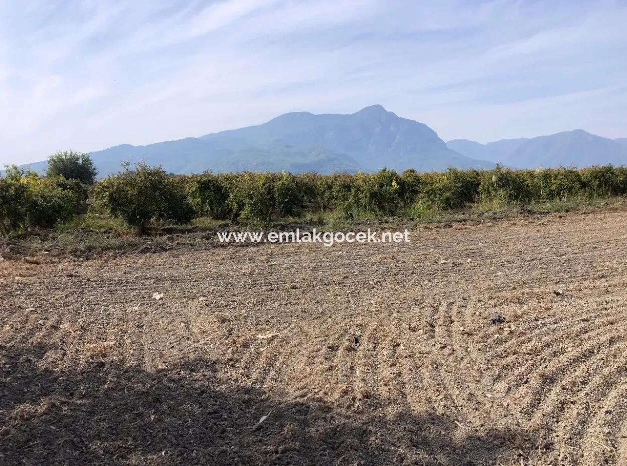 Land For Sale In Esköy 8500M2 Field Land For Sale