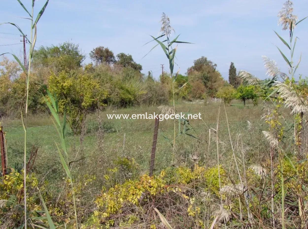 Land For Sale In Guzelyurt Land For Sale Zero 5515M2 Land For Sale On The Main Road