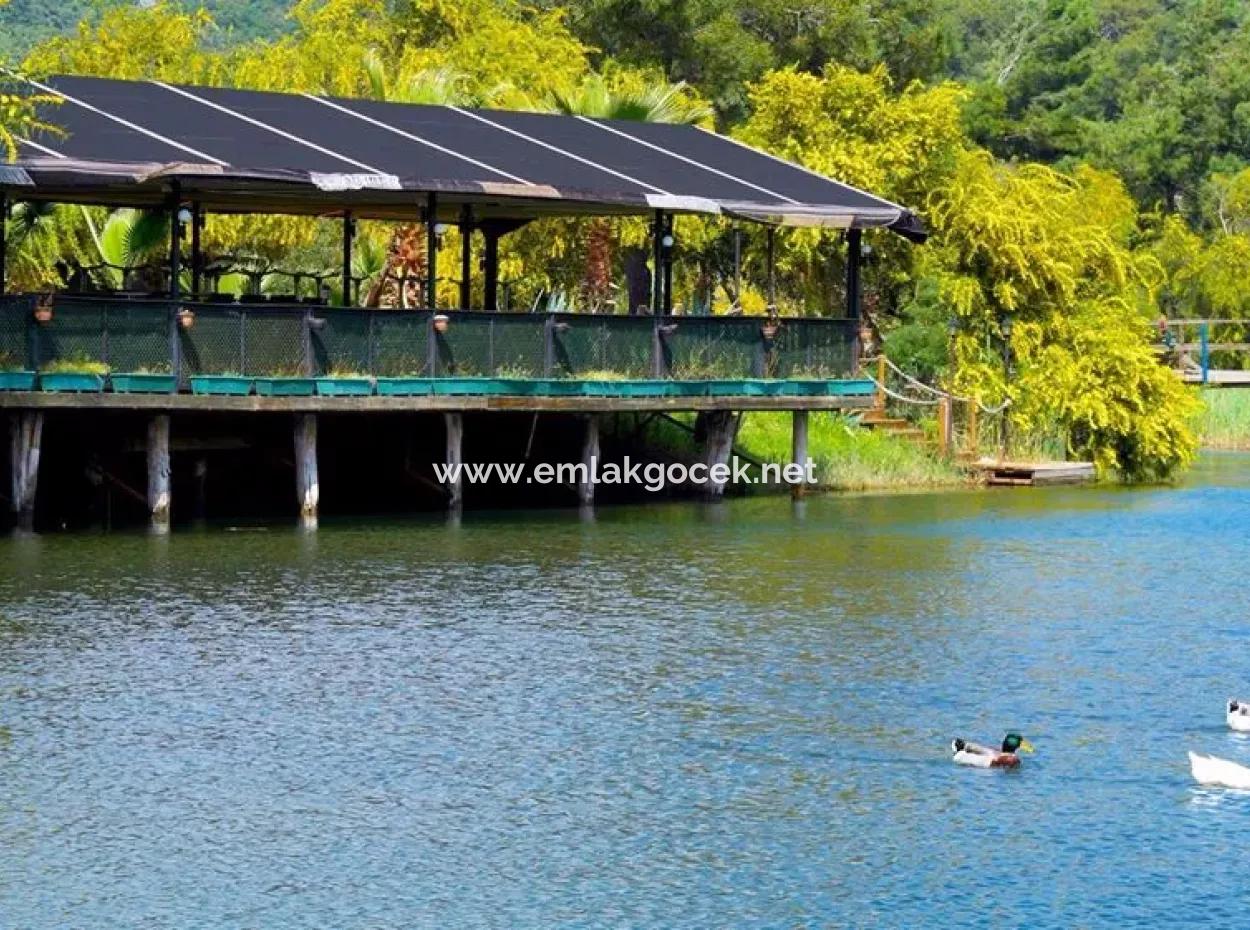 Land Land For Sale In Çamlıda Marmaris Çamlıda Sea View 11720M2 Land For Sale