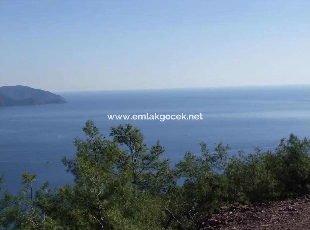 Real Estate Bargain Plot For Sale With Sea Views In Çandır Call In Ekincik