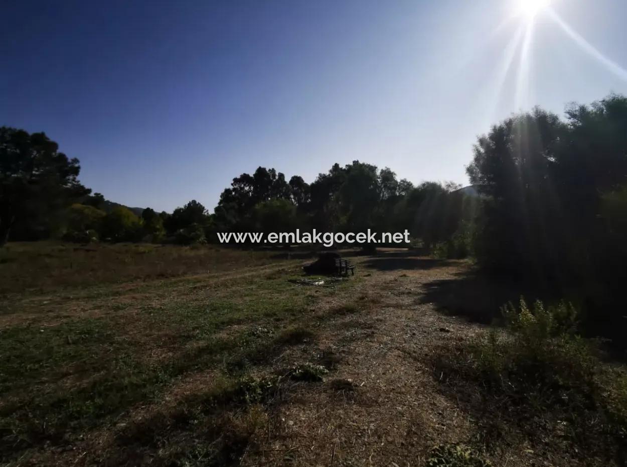 Land Land For Sale In Çamlıda Marmaris Çamlıda Sea View 11720M2 Land For Sale