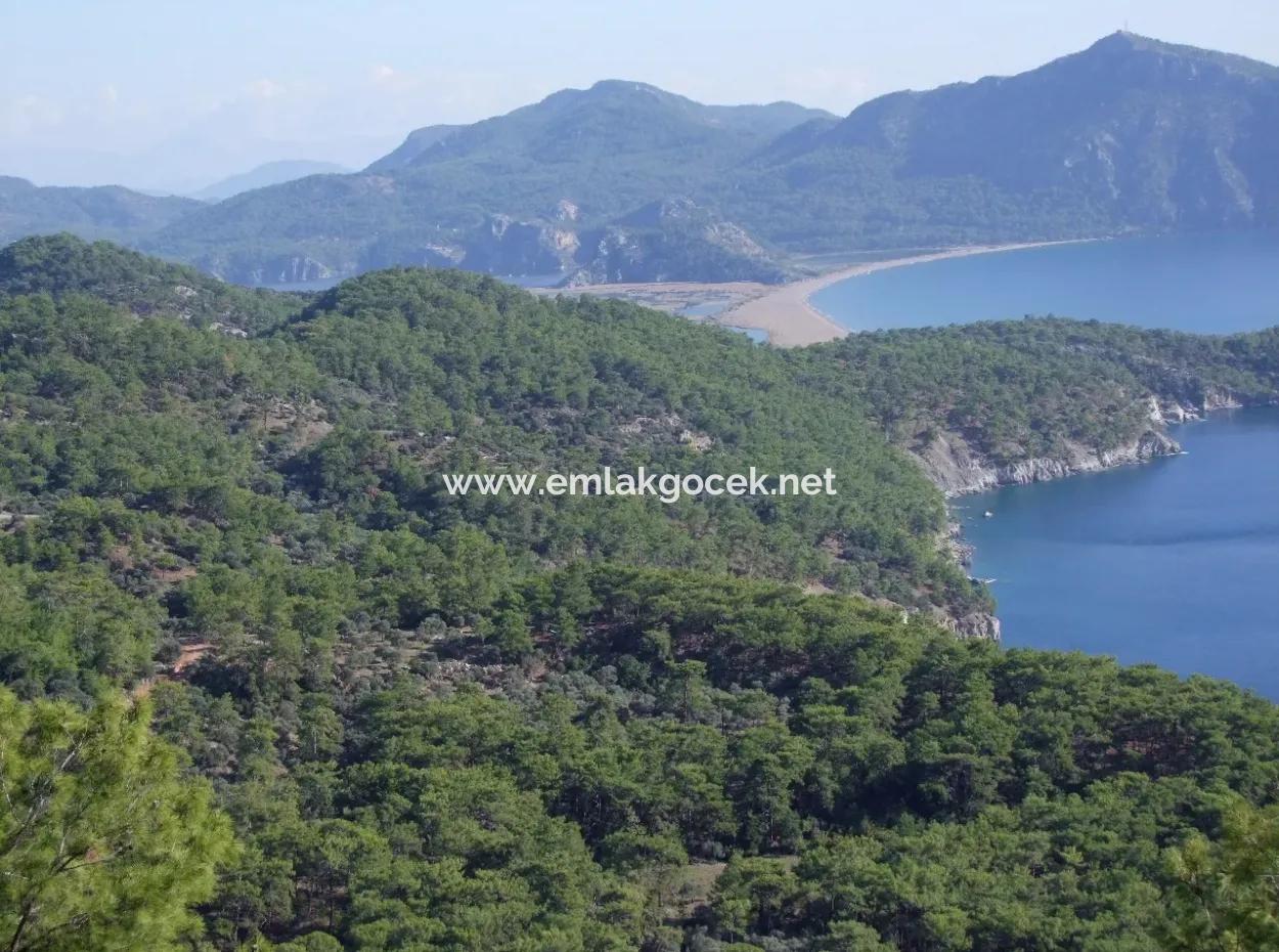 Real Estate Bargain Plot For Sale With Sea Views In Çandır Call In Ekincik