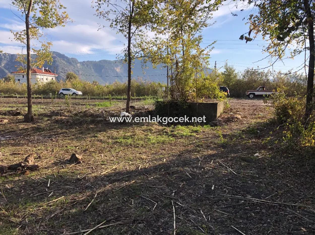 Land For Sale In Dalyan 2540M2