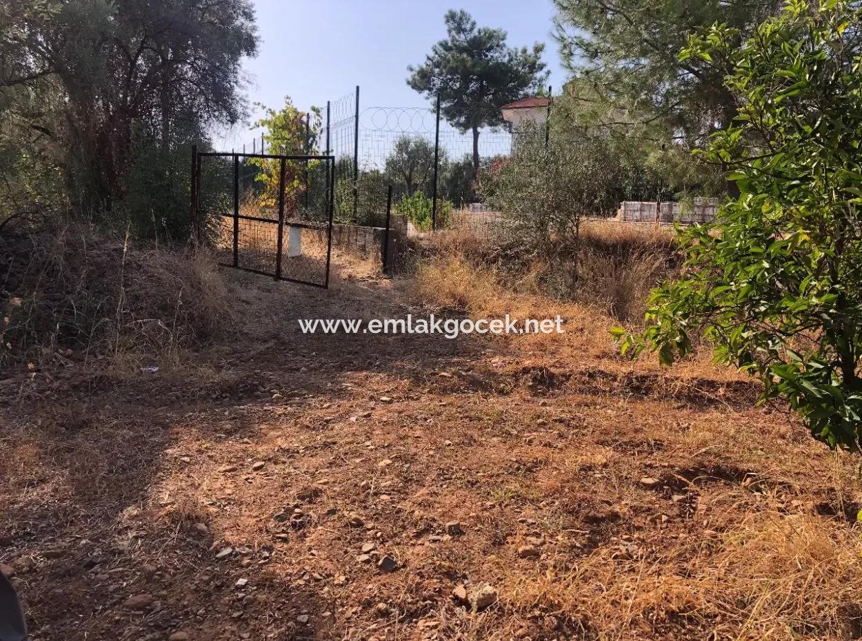 Land Field For Sale In Köyceğinz Yangi 9406M2 Land For Sale