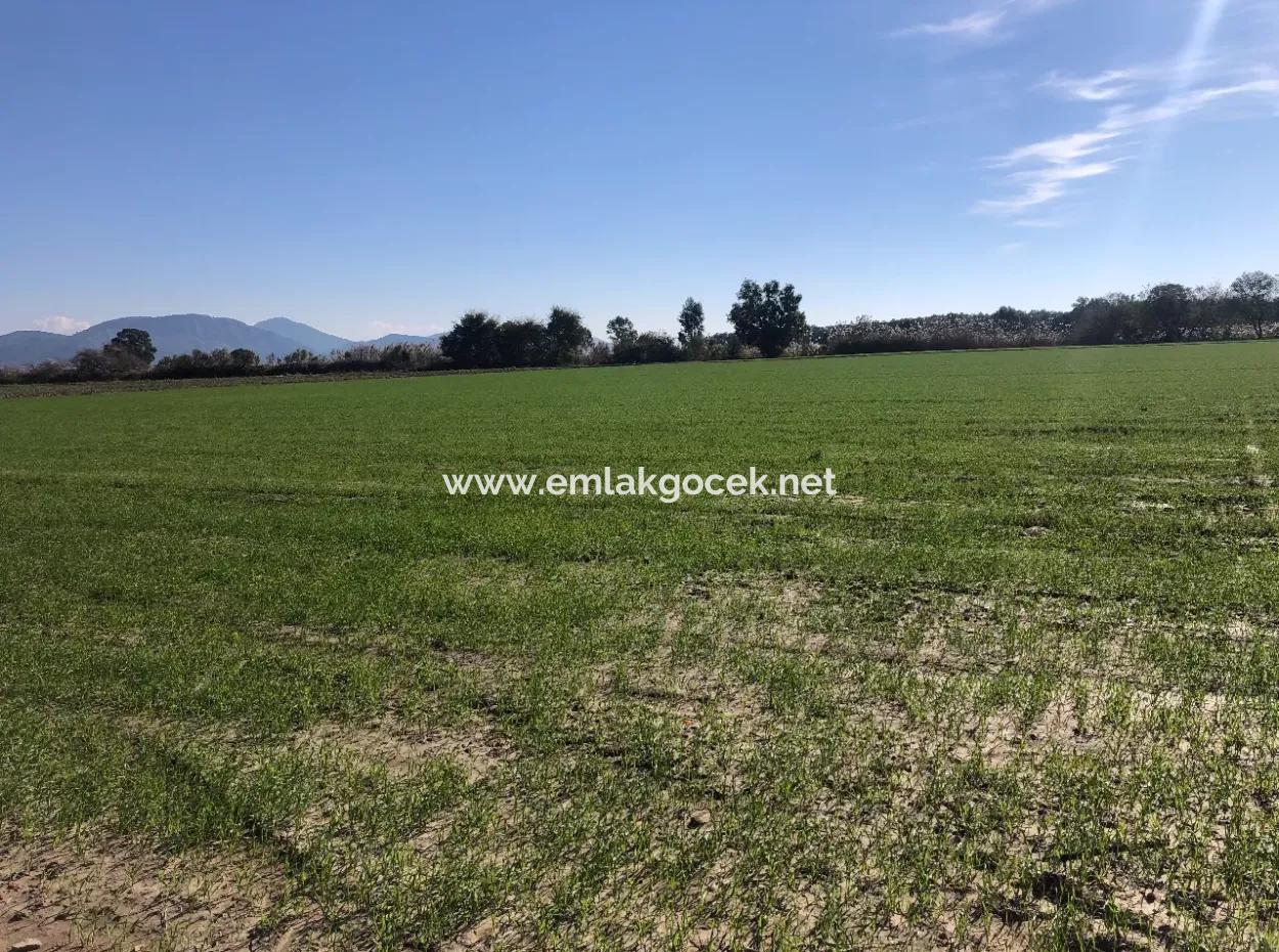 Land For Sale In Sarıgermede 30,000M2 Land For Sale With Sea View