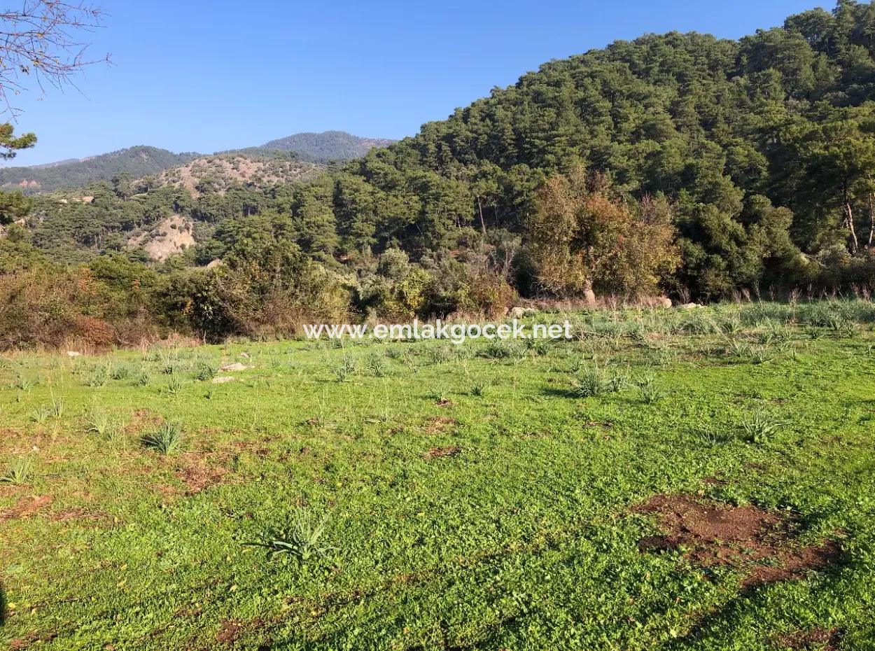 Ekincik Land For Sale 10,038M2 Land For Sale Field