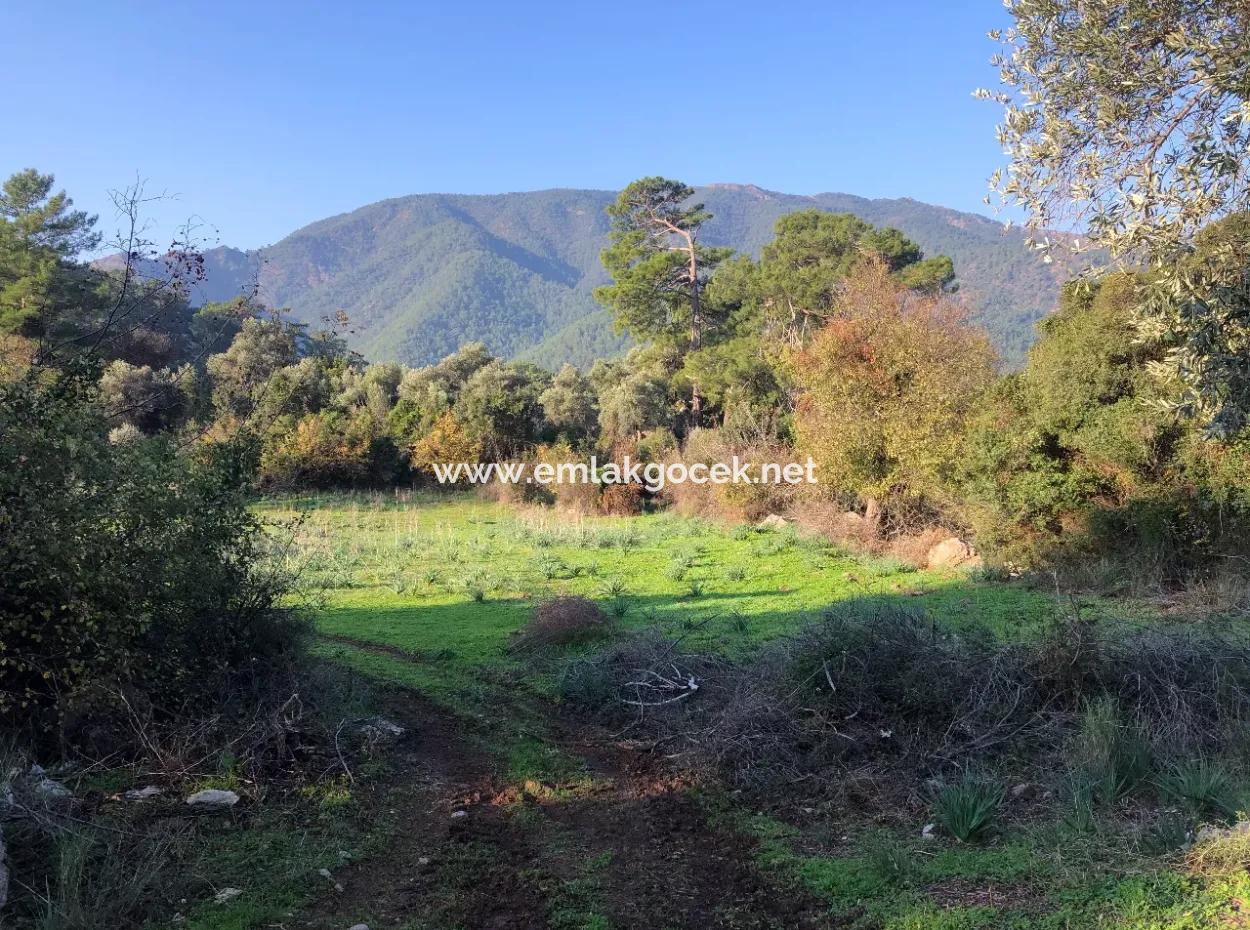 Ekincik Land For Sale 10,038M2 Land For Sale Field
