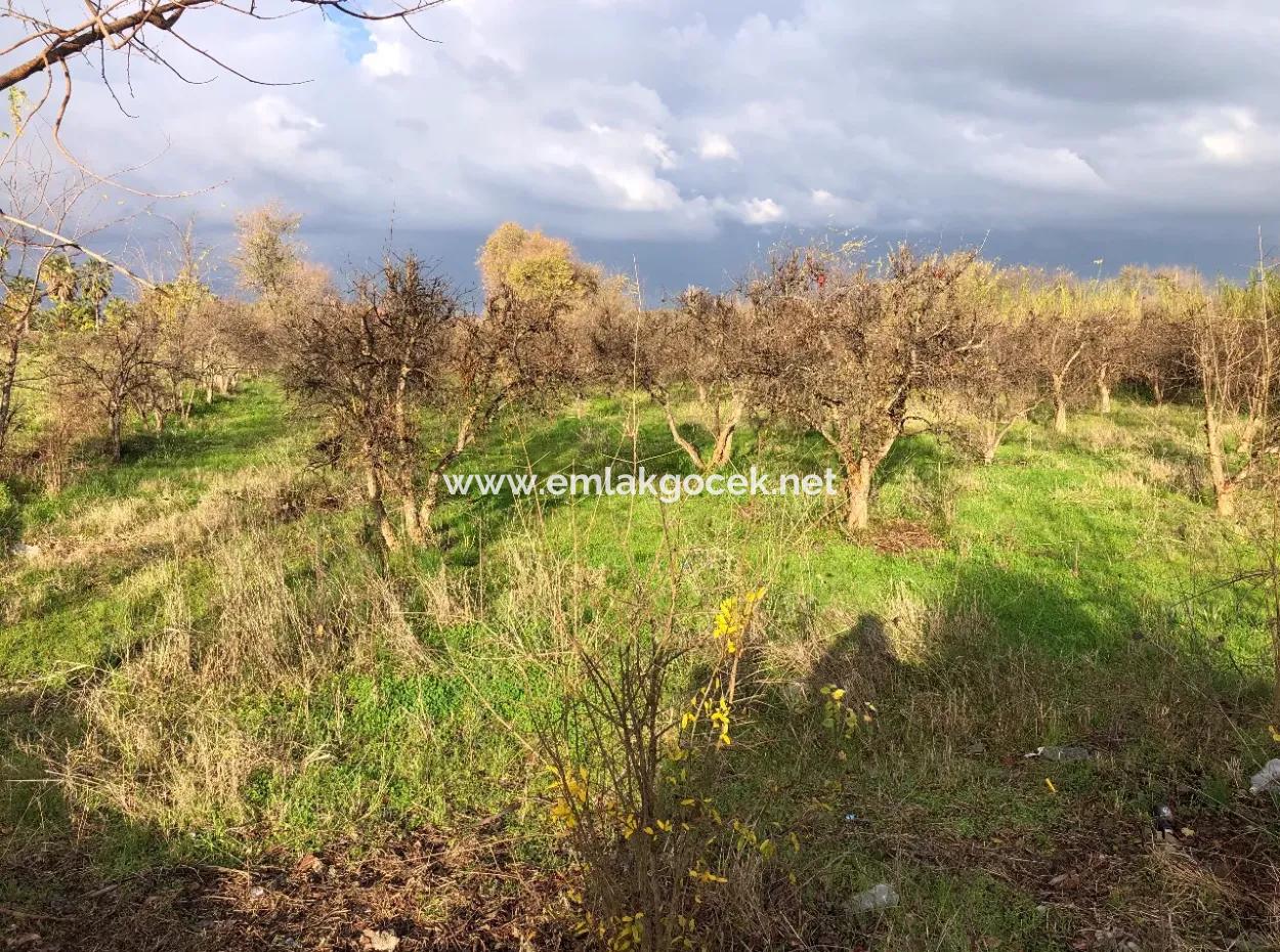 Dalyan Land For Sale Near The Center 3000M2 5% Zoning Land For Sale