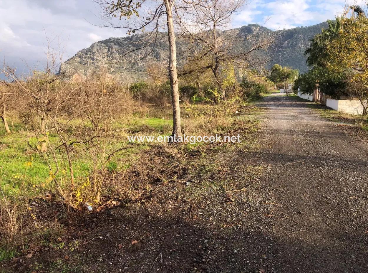 Dalyan Land For Sale Near The Center 3000M2 5% Zoning Land For Sale