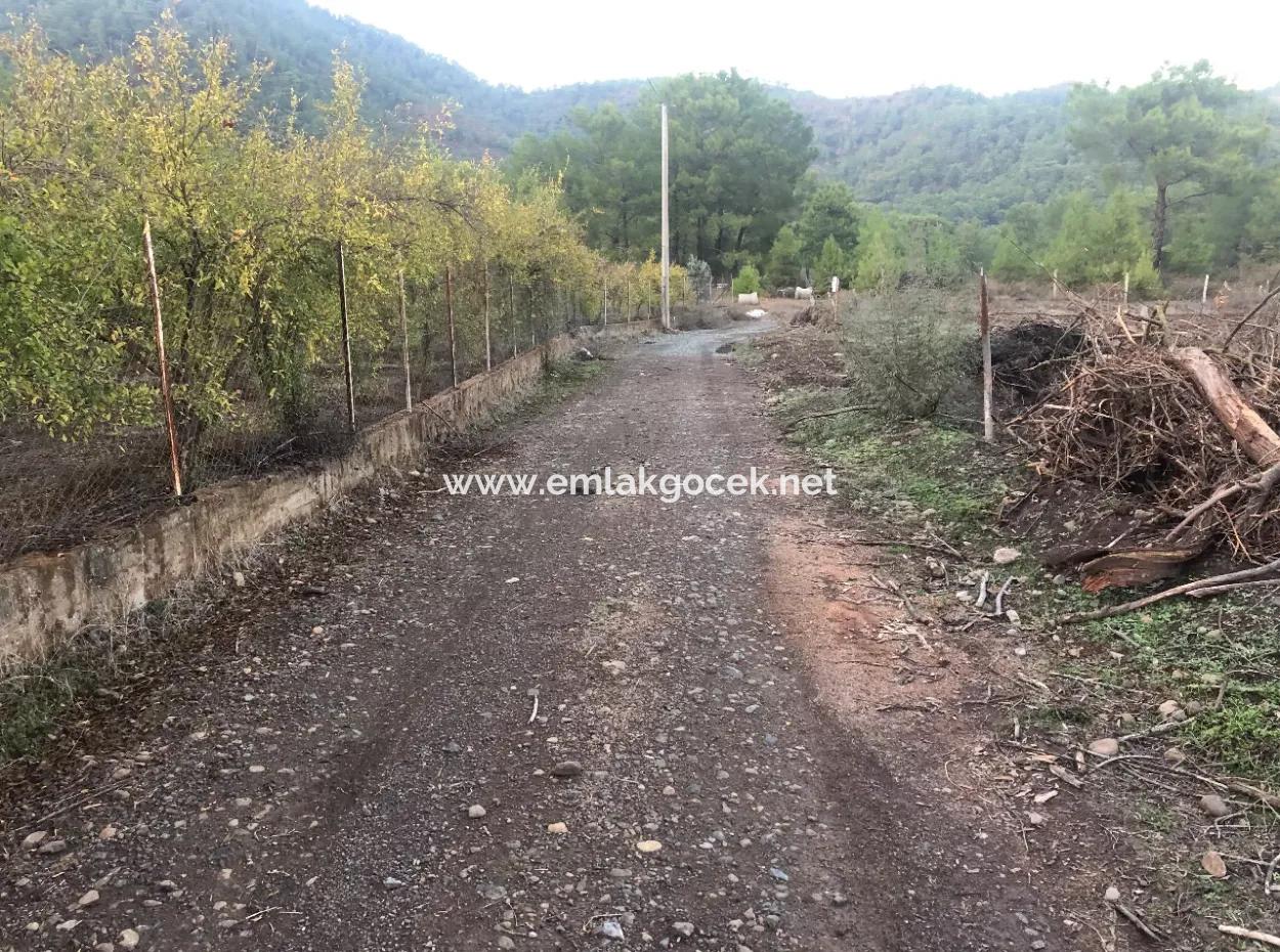 Sultaniye Land For Sale Near 10577M2 Lake Land For Sale