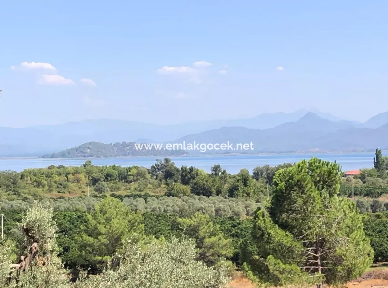 Sultaniye Land For Sale Near 10577M2 Lake Land For Sale