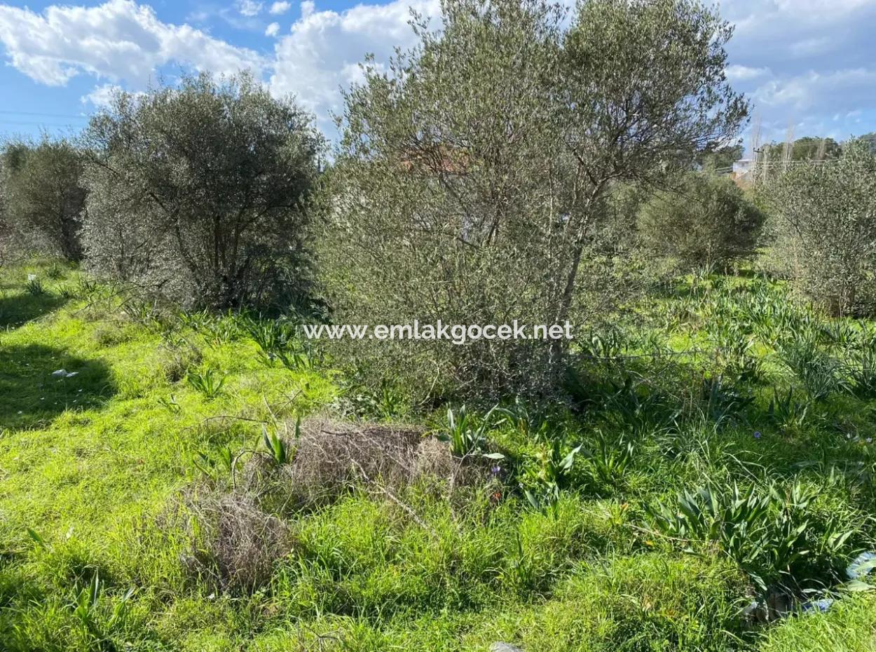 401M2 Land For Sale In Ortaca Cumhuriyet Neighborhood