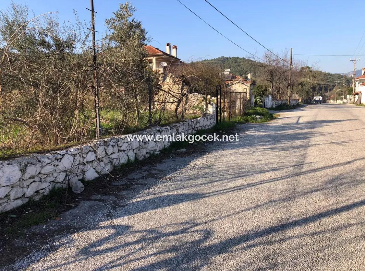 777M2 Land For Sale In Ula Sarayyanı