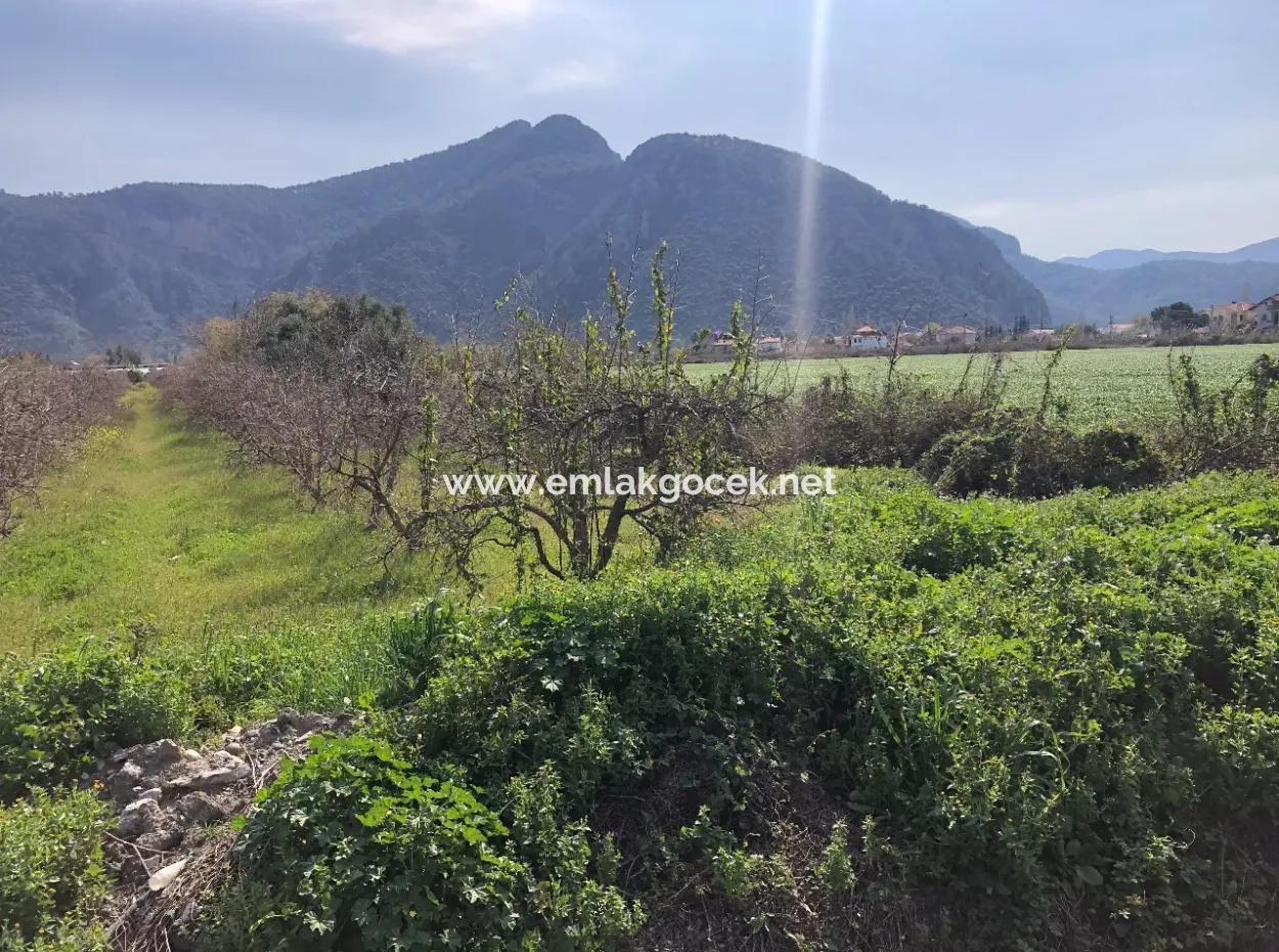 5500M2 Land For Sale In Dalyan