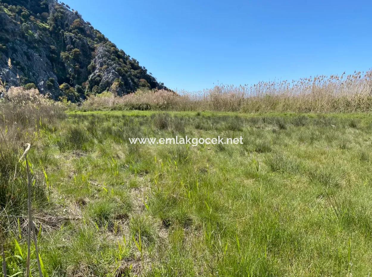 9310M2 Land For Sale In Dalyan