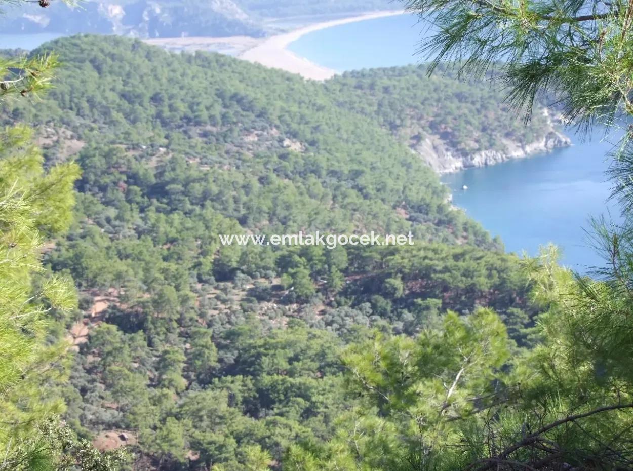 Real Estate Bargain Plot For Sale With Sea Views In Çandır Call In Ekincik