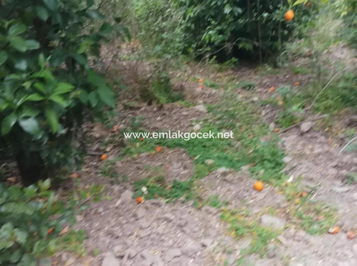 Land For Sale In Çamlida