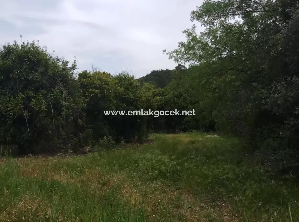 Land For Sale In Çamlida