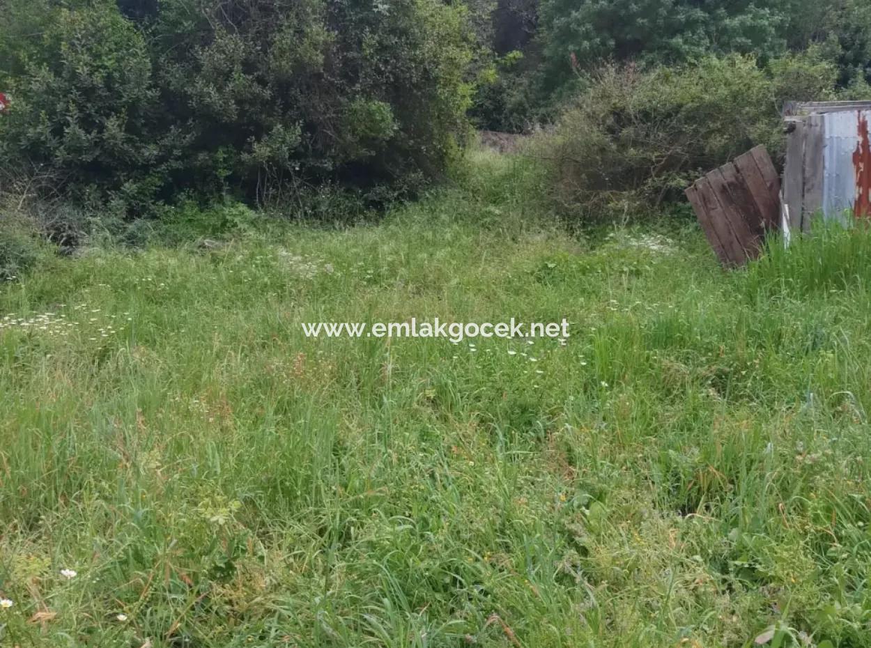 Land For Sale In Çamlida