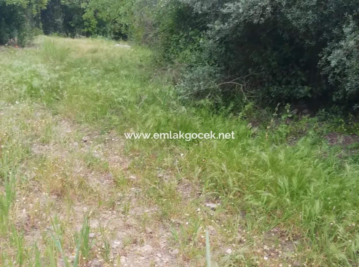 Land For Sale In Çamlida