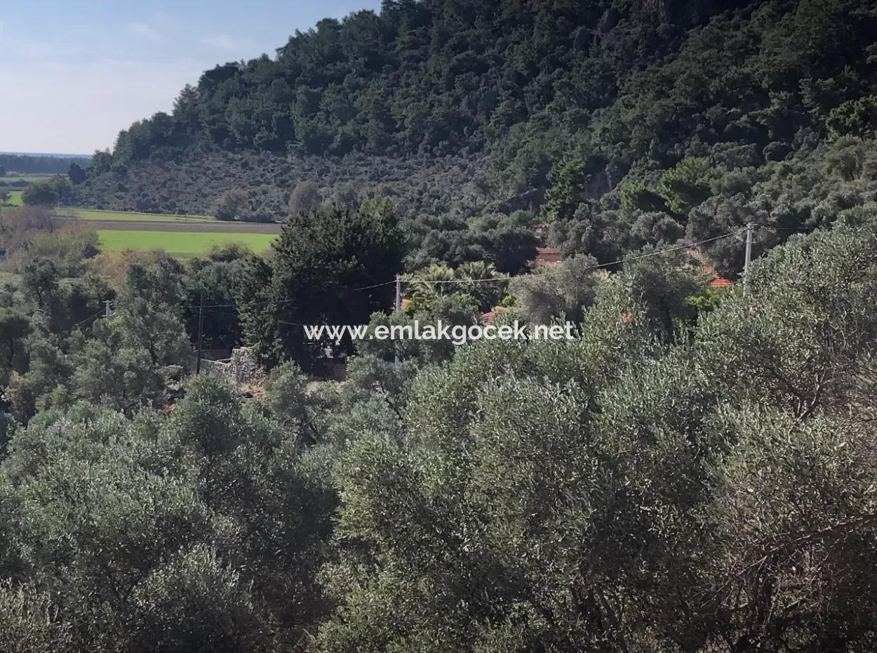 Land For Sale With Sea View Of Fevziye