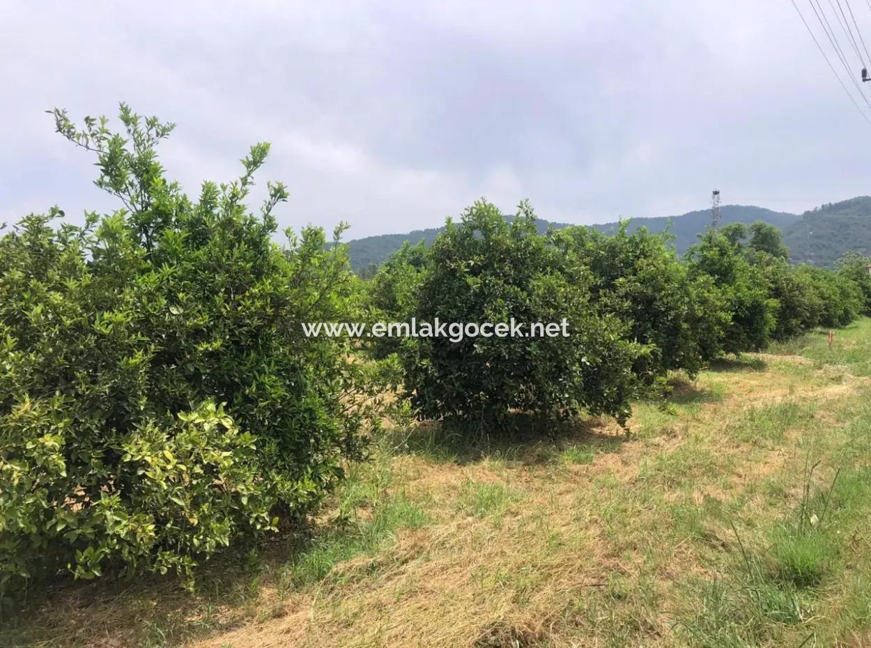 Land For Sale In Sourliyurtda 1085M2