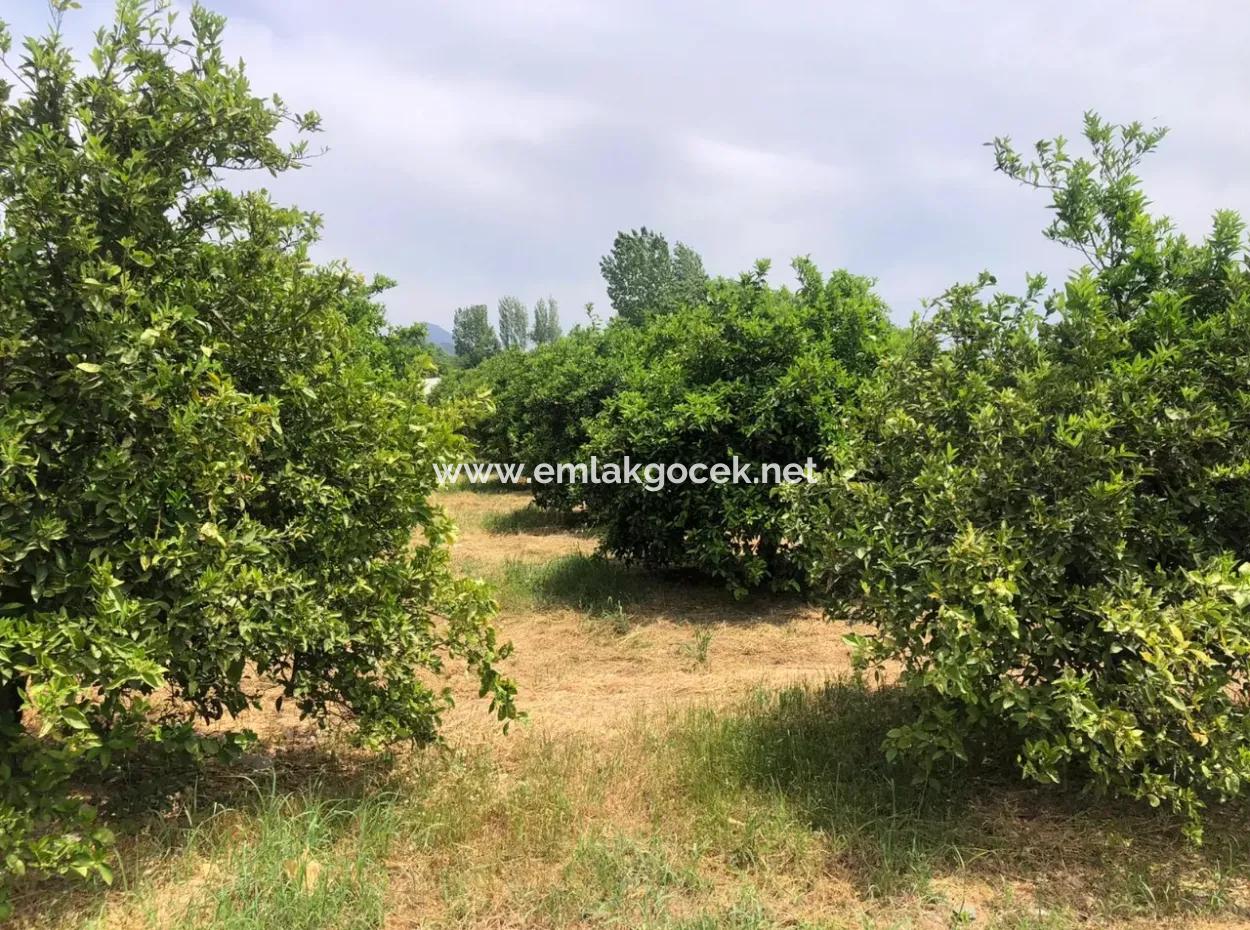 Land For Sale In Sourliyurtda 1085M2